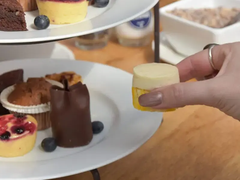 High Tea & Paseo en barco Weerribben